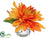 Dahlia - Orange Flame - Pack of 6