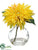 Dahlia - Yellow - Pack of 4