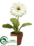 Silk Plants Direct Gerbera Daisy - White - Pack of 4
