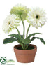 Silk Plants Direct Gerbera Daisy - White Green - Pack of 4
