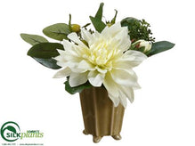 Dahlia, Sedum - White - Pack of 6