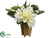 Dahlia, Sedum - White - Pack of 6