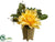 Dahlia, Sedum - Yellow - Pack of 6