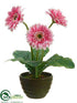Silk Plants Direct Gerbera Daisy - Pink - Pack of 6