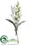 Foxglove - White - Pack of 6