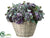 Hydrangea, Sedum - Blue Green - Pack of 1