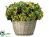 Silk Plants Direct Hydrangea, Sedum - Green Purple - Pack of 1