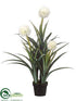 Silk Plants Direct Flower Plant - White Green - Pack of 2