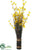 Forsythia Standing Bundle - Yellow - Pack of 6