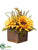 Sunflower, Maple, Berry - Yellow Fall - Pack of 4