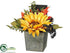 Silk Plants Direct Sunflower, Pine Cone, Maple - Yellow Fall - Pack of 6