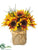 Sunflower, Maple, Grass - Yellow Rust - Pack of 6