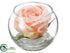 Silk Plants Direct Rose - Peach Soft - Pack of 24