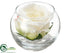 Silk Plants Direct Rose - White - Pack of 24