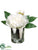 Peony - White - Pack of 12