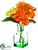 Dahlia, Hydrangea - Orange Green - Pack of 12