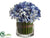 Hydrangea - Blue - Pack of 6