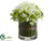 Hydrangea - Green Cream - Pack of 6