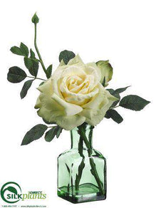 Rose - Green Yellow - Pack of 6