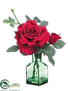 Rose - Red - Pack of 6