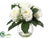 Rose - White - Pack of 4