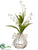 Lily of The Valley - Cream - Pack of 12