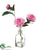 Dahlia - Rose - Pack of 12