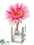 Gerbera Daisy - Rose Pink - Pack of 12