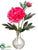 Peony - Fuchsia - Pack of 8