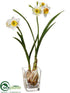 Silk Plants Direct Daffodil - White Yellow - Pack of 6