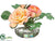 Ranunculus, Rose - Coral Peach - Pack of 12