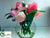 Tulip, Ranunculus - Rose Mauve - Pack of 2