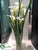 Calla Lily - Cream Green - Pack of 1
