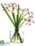Silk Plants Direct Narcissus - White Red - Pack of 6