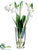 Snowdrop - White - Pack of 12