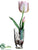 Tulip - Pink - Pack of 12