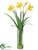 Daffodil - Yellow - Pack of 6