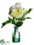 Gerbera Daisy, Snowball - Yellow White - Pack of 6