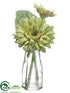 Silk Plants Direct Gerbera Daisy - Green - Pack of 12
