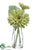 Gerbera Daisy - Green - Pack of 12