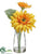 Gerbera Daisy - Yellow - Pack of 12