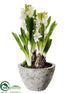 Silk Plants Direct Hyacinth - White - Pack of 4