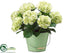 Silk Plants Direct Hydrangea - Green Pastel - Pack of 1