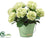 Hydrangea - Green Pastel - Pack of 1