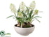 Silk Plants Direct Hyacinth - White - Pack of 2