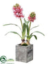 Silk Plants Direct Hyacinth - Cerise - Pack of 4