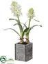 Silk Plants Direct Hyacinth - White - Pack of 4