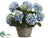 Hydrangea - Blue Green - Pack of 1