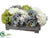 Hydrangea - Green Delphinium - Pack of 4