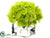 Silk Plants Direct Hydrangea - Green - Pack of 4